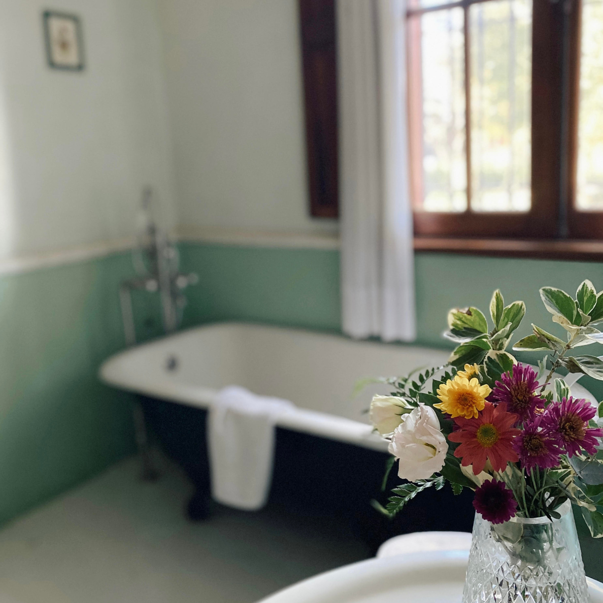 1200 x 1200 san jose (1)